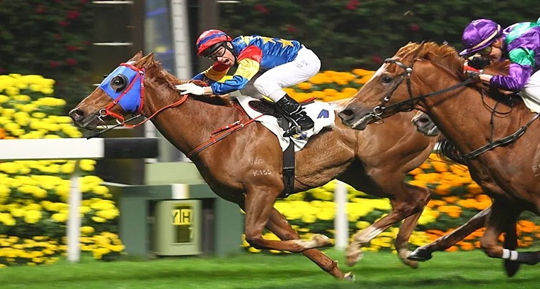 Tìm Hiểu Đua Ngựa OLYBET: Trải Nghiệm Thú Vị và Chiến Lược Cá Cược 4 Tìm Hiểu Đua Ngựa OLYBET: Trải Nghiệm Thú Vị và Chiến Lược Cá Cược